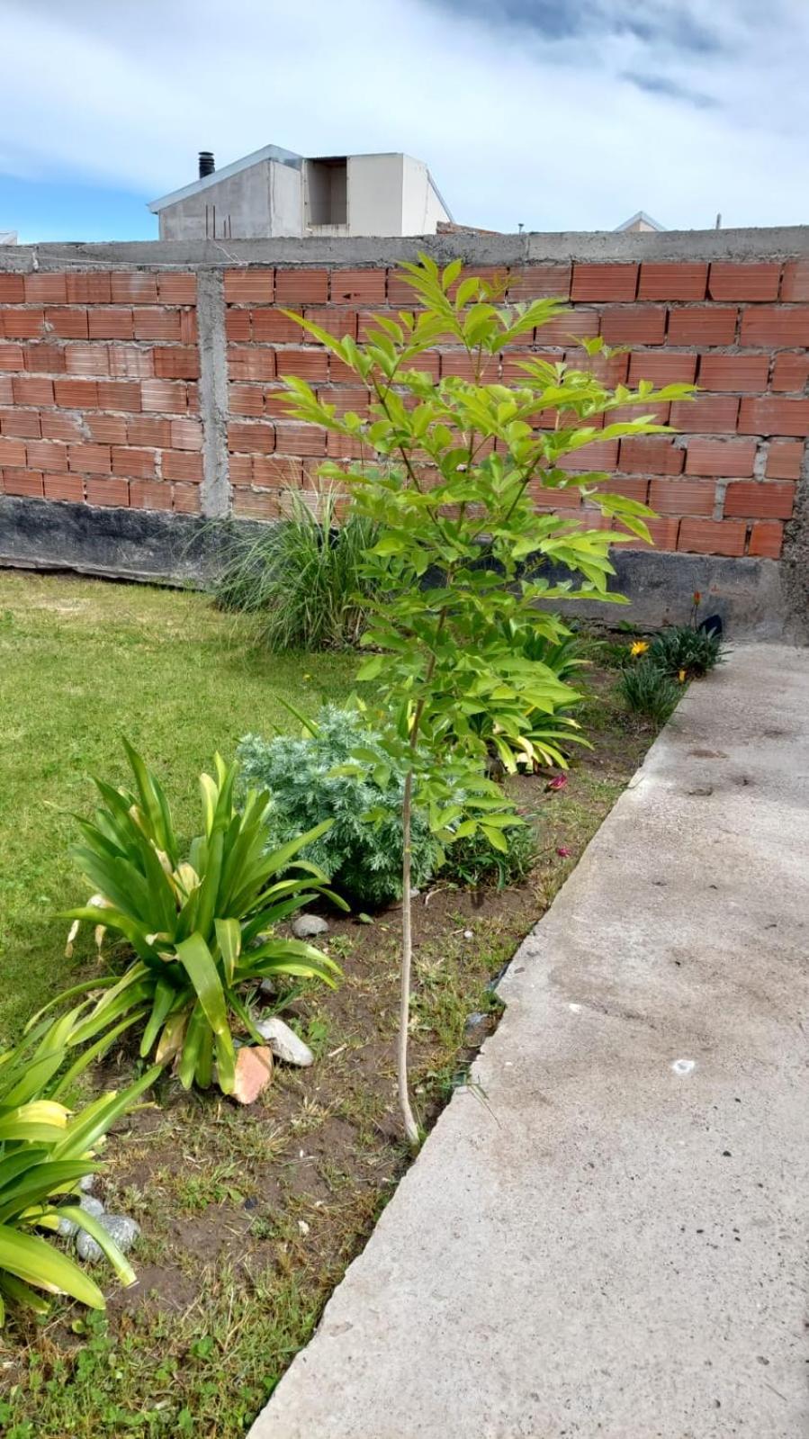 Habitacion Privada En La Casa De Thor Trelew Ngoại thất bức ảnh