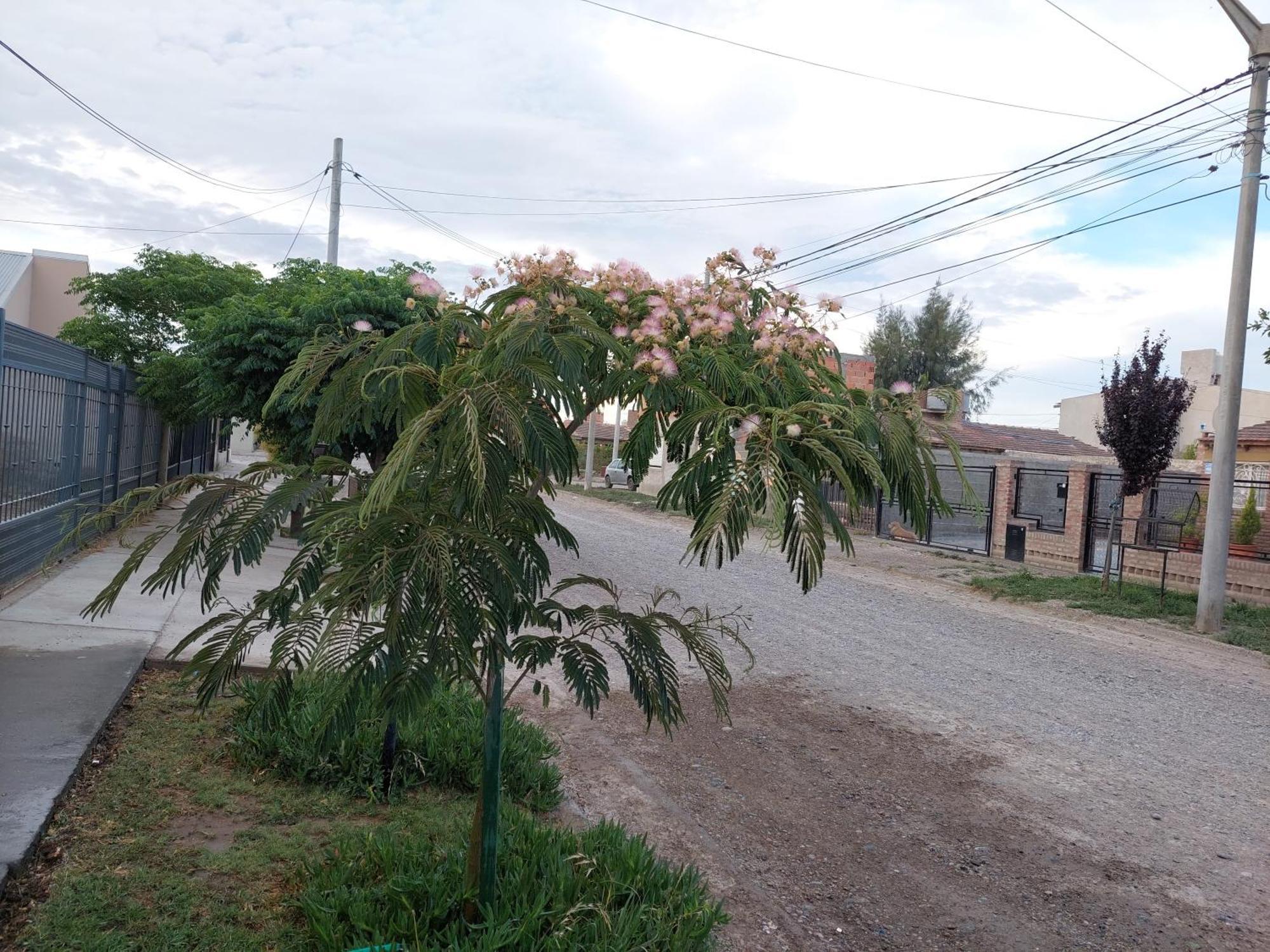 Habitacion Privada En La Casa De Thor Trelew Ngoại thất bức ảnh