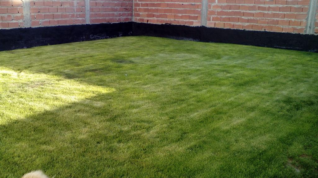 Habitacion Privada En La Casa De Thor Trelew Ngoại thất bức ảnh